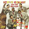 Steve Gibson & The Red Caps - Boogie Woogie Ball CD1 Mp3