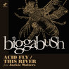 BiggaBush - Acid Fly / This River (CDS) Mp3