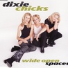 Dixie Chicks - Wide Open Spaces (VLS) Mp3