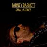 Barney Barnett - Small Stones Mp3