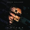 Kalle Wallner - Voices Mp3