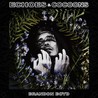 Brandon Boyd - Echoes & Cocoons Mp3