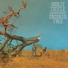 Molly Tuttle - Crooked Tree Mp3