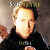 Steve Wariner - The Hits Mp3