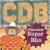 Charlie Daniels Band - Essential Super Hits Mp3