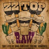 ZZ Top - Raw ('that Little Ol' Band From Texas' Original Soundtrack) Mp3