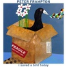 Peter Frampton - I Saved A Bird Today (CDS) Mp3