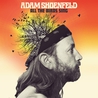 Adam Shoenfeld - All The Birds Sing Mp3