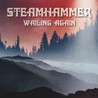 Steamhammer - Wailing Again Mp3