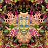 Shpongle - Carnival Of Peculiarities (EP) Mp3