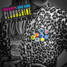 Reva Devito & Roane Namuh - Cloudshine Deluxe Mp3