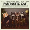Fantastic Cat - The Very Best Of Fantastic Cat Mp3