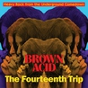 VA - Brown Acid: The Fourteenth Trip Mp3