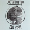 Joe Tatton Trio - Big Fish Mp3