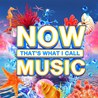 VA - Now That's What I Call Pride CD1 Mp3
