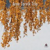 Arne Torvik Trio - Northwestern Songs Mp3