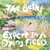 The Beths - Expert In A Dying Field Mp3