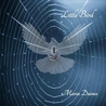 Maria Daines - Little Bird Mp3