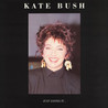 Kate Bush - Just Saying It (Bootleg) Mp3