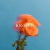 The Summer Set - Blossom Mp3