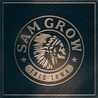 Sam Grow - This Town Mp3