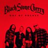 Black Stone Cherry - Out Of Pocket (CDS) Mp3