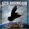 Seth Rosenbloom - As The Crow Flies Mp3