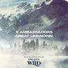 X Ambassadors - Great Unknown (From The Motion Picture ''The Call Of The Wild'') (CDS) Mp3