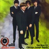 VA - The Quill Records Story (The Best Of Chicago Garage Bands) Mp3