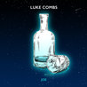 Luke Combs - Joe (CDS) Mp3