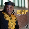 Joe Louis Walker - Weight Of The World Mp3