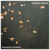 Ludovico Einaudi - Moments Of Peace Mp3