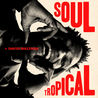 david walters - Soul Tropical Mp3