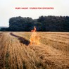 Ruby Haunt - Cures For Opposites Mp3