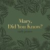 Carly Pearce - Mary, Did You Know? (CDS) Mp3