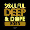VA - Soulful Deep & Dope 2023 Mp3