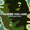 John Summit & Hayla - Where You Are (CDS) Mp3