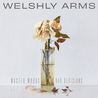 Welshly Arms - Wasted Words & Bad Decisions Mp3