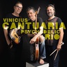 Vinicius Cantuaria - Psychedelic Rio Mp3
