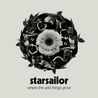 Starsailor - Where The Wild Things Grow Mp3