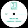 Trilogy Inc. - Awakening / Hi Cycle (CDS) Mp3
