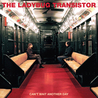 The Ladybug Transistor - Can't Wait Another Day Mp3