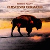 Robert Plant - Saving Grace Mp3