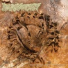 Pharmacist - Vertebrae After Vertebrae Mp3